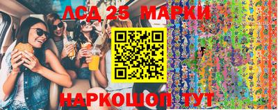 индика Обнинск