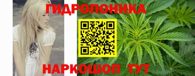 индика Обнинск