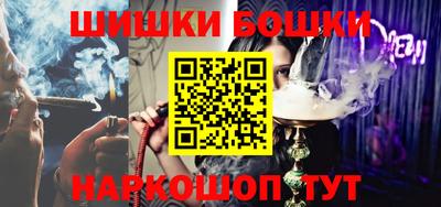 индика Обнинск