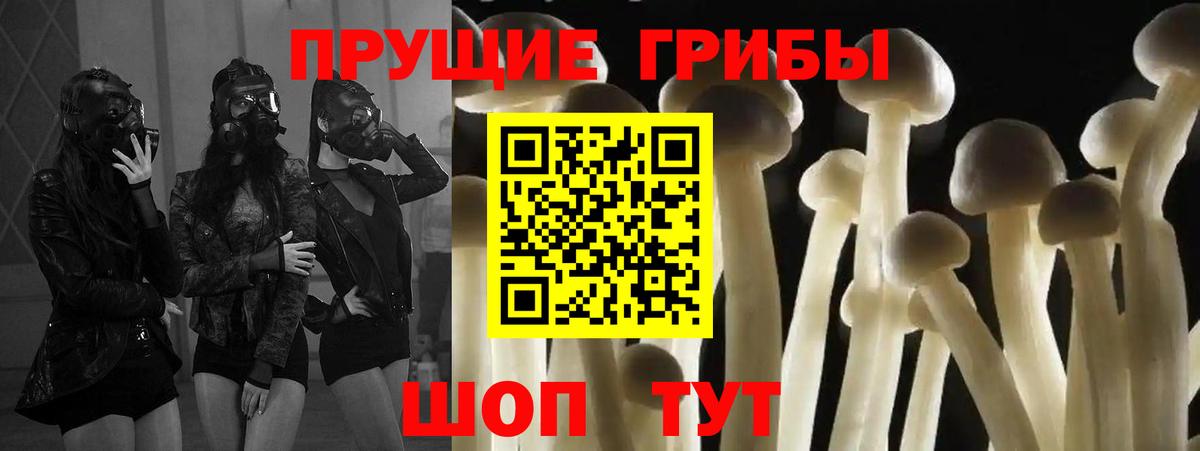 Галлюциногенные грибы MAGIC MUSHROOMS Тамбов